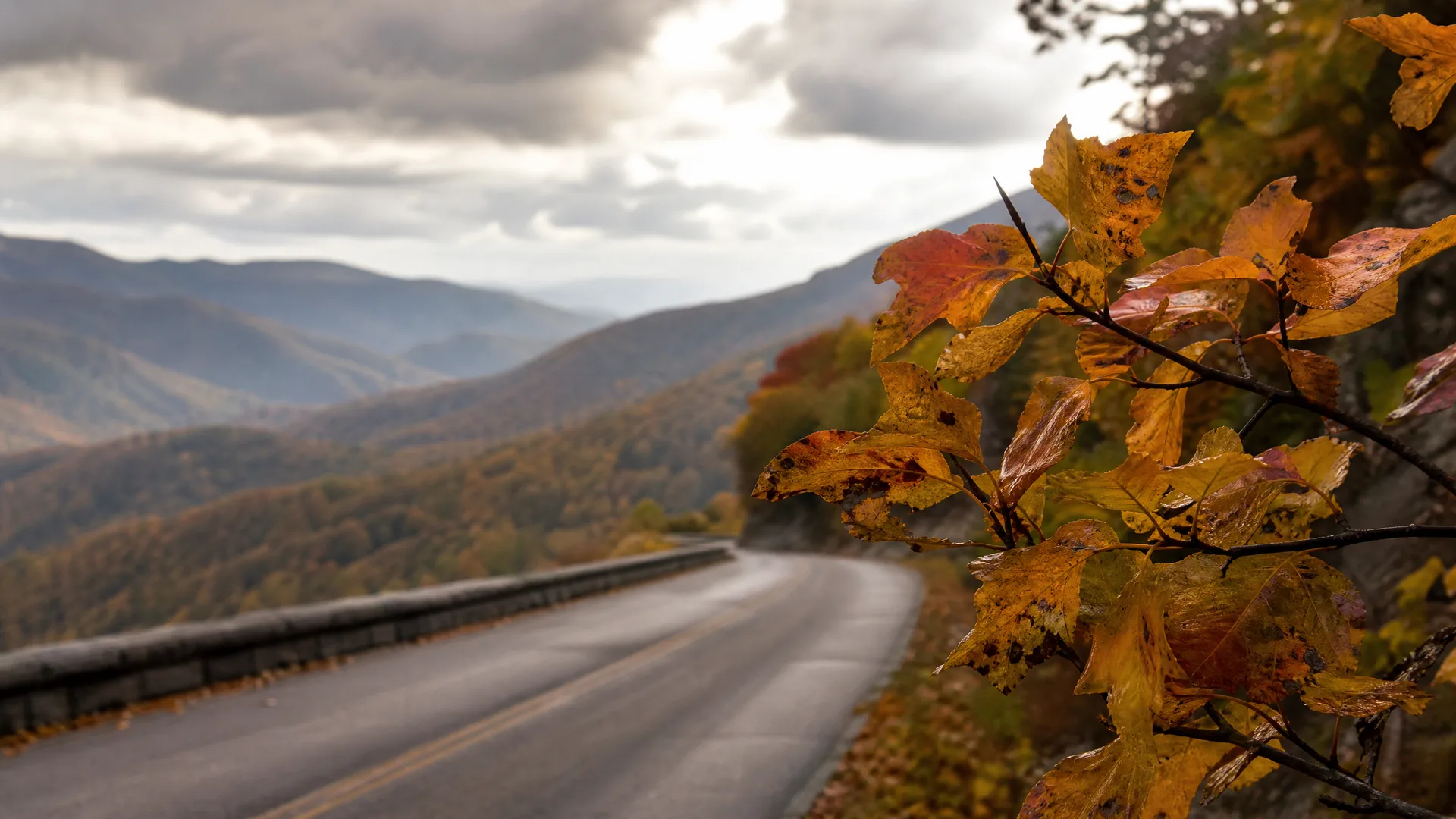 A curving two-lane road with a guardrail runs along a forested mountainside under cloudy skies, with orange and yellow autumn leaves on a branch in sharp focus at the right edge.